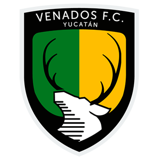 https://img.yadahuojia.com/img/football/team/c28028bd9f03205a308a016f39e238f6.png